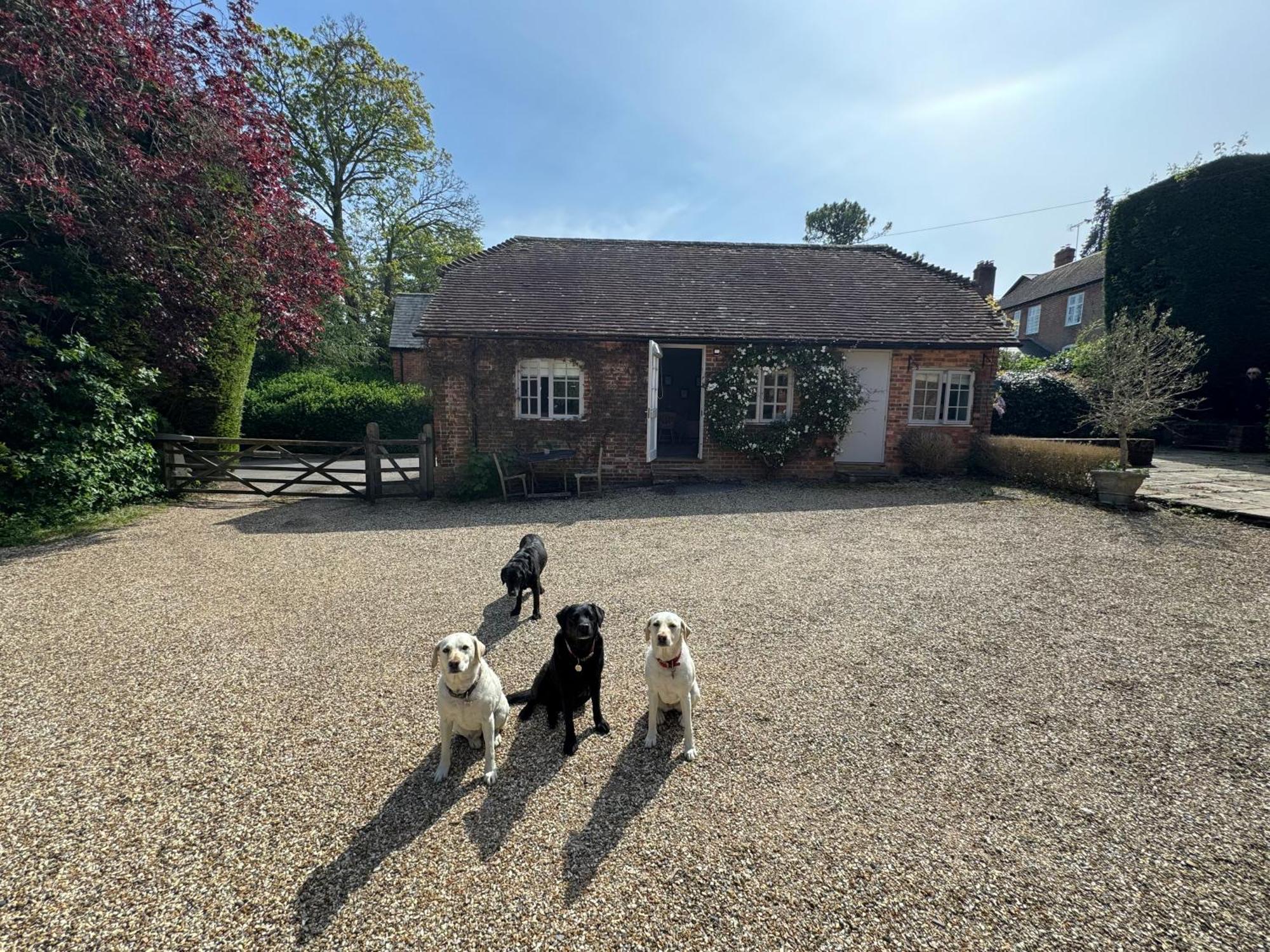 Holiday home Charming One Bedroom Basingstoke